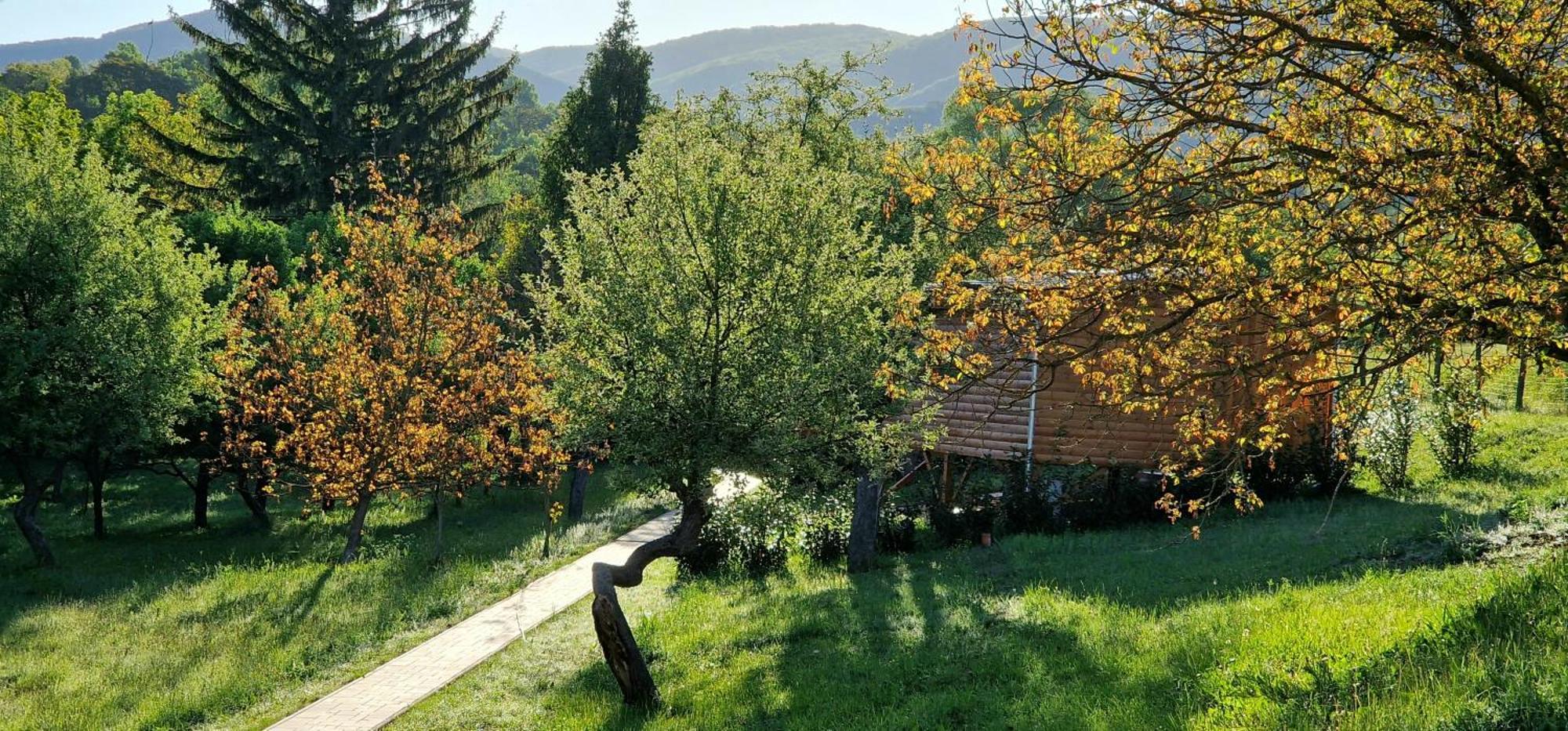 Reteskert Vendeghaz Es Apartman Belapatfalva Buitenkant foto